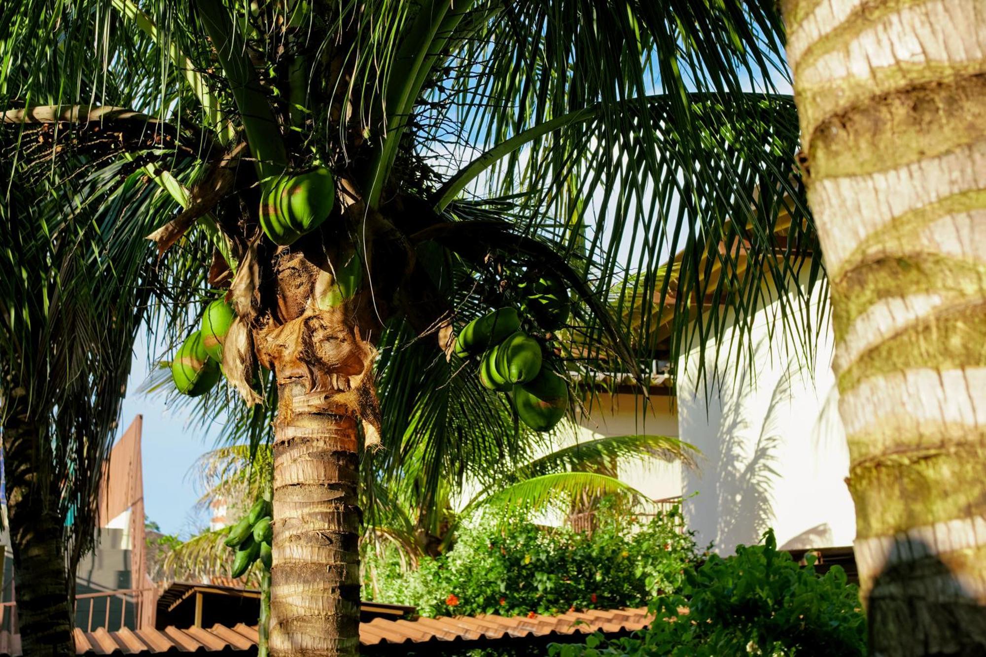 Velinn Hotel Natureza Foz Foz do Iguacu Exterior photo